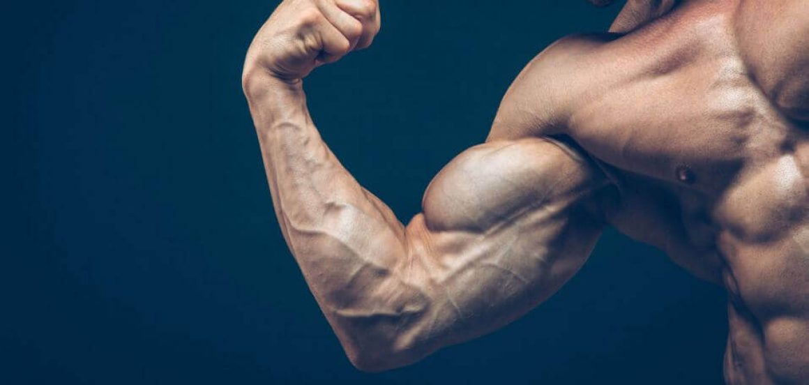 sore-muscle-muscle-growth